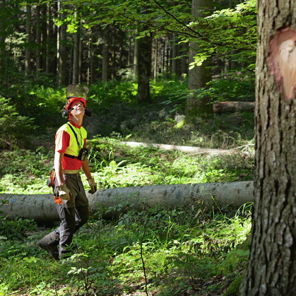 Accident: «Une branche s’écrase sur un opérateur de tronçonneuse»
