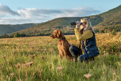 Corporate governance