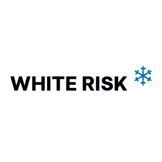 Das Tool «White Risk» für weniger Risk