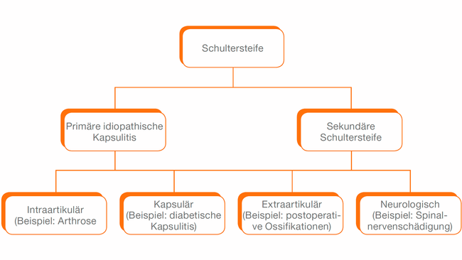 diagramm_schultersteife.png