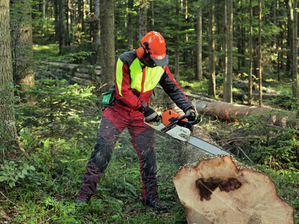 Accident professionnel «Mort durant l’abattage d’un arbre» pour instruction