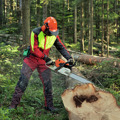 Unfall: Tod beim Baumfällen für Instruktion