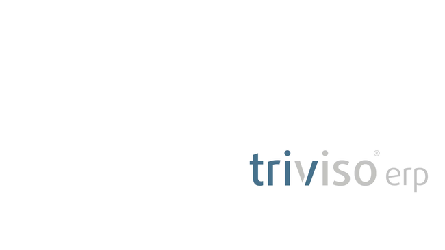 Vidéo didactique sur la déclaration électronique des salaires avec triviso, programme de comptabilité salariale certifié Swissdec.