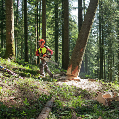 Recueil d’accidents professionnels typiques pour la formation