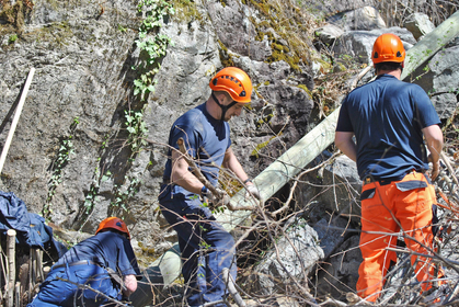 Sécurité au travail: lignes aériennes à courant faible