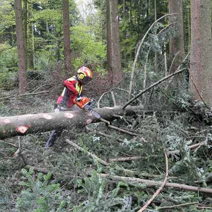 Formations dédiées aux travaux comportant des dangers particuliers