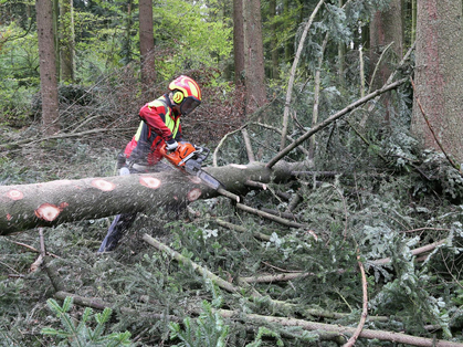 Formations dédiées aux travaux comportant des dangers particuliers