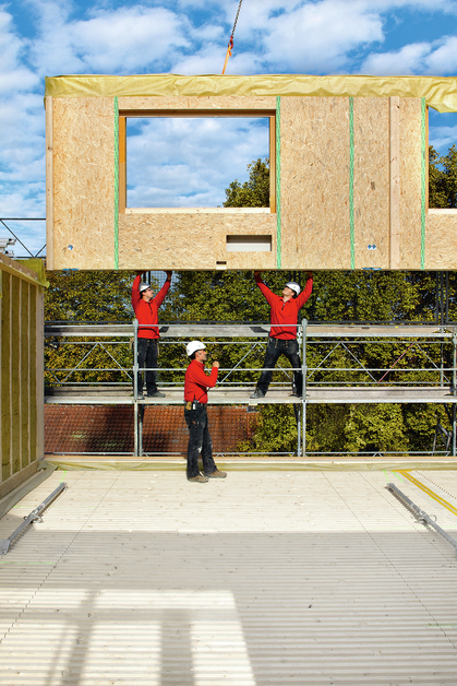 Regole vitali costruzioni legno: video per istruzione