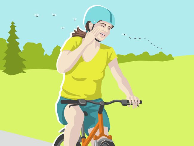 velo_4_insekt_2.jpg