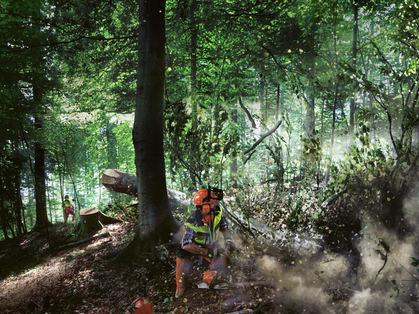 Sicurezza nei lavori forestali, e la vita rimane bella
