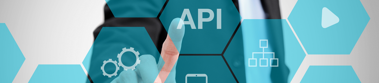 e-services_API