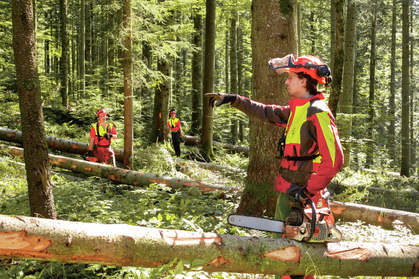 Instruction: accident «Un tronc roule et écrase un forestier-bûcheron»