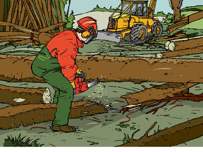 Allestire il legname da tempesta: pericoli e sicurezza