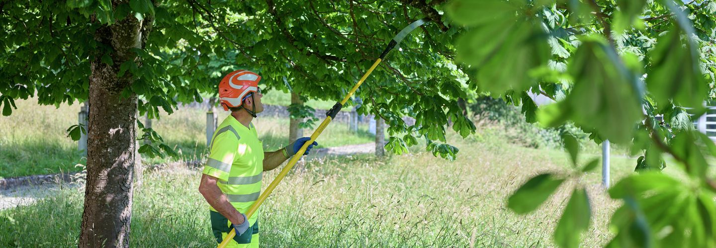 Gartenbau, Fotoshooting, Baustelle, Garten, Landschaftsgärtner