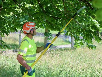 Règles vitales pour l’horticulture et le paysagisme