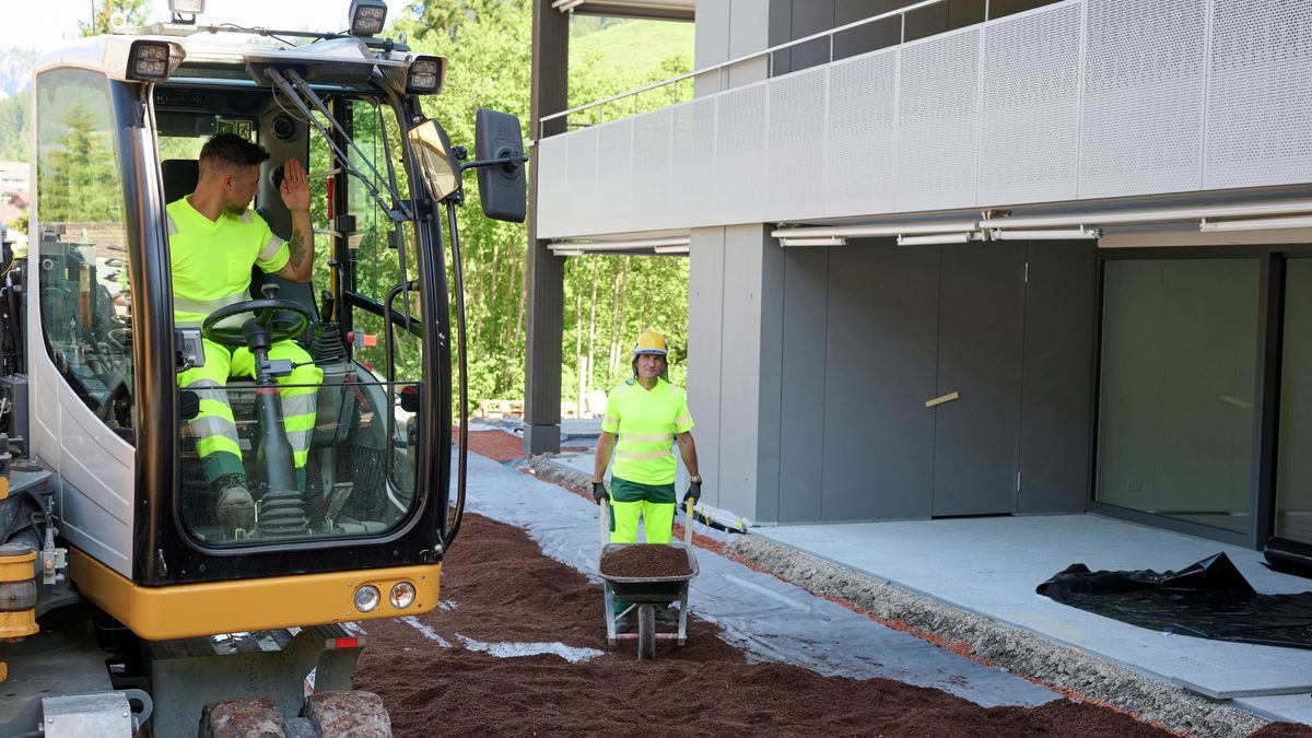 Lavori di paesaggismo e la costruzione di giardini: regole vitali indispensabili