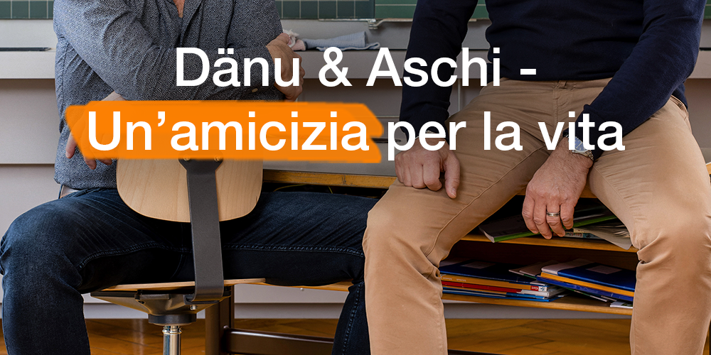 Dänu&Aschi_IT.png