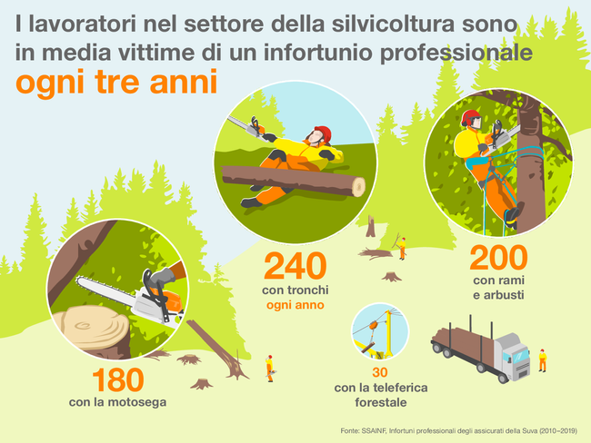 L'infografica sensibilizza sulla frequenza e sul tipo di infortuni professionali: i lavoratori nel settore della silvicoltura sono in media vittime di un infortunio professionale ogni tre anni. Ogni anno si verificano 240 infortuni con tronchi, 200 con rami e arbusti, 180 con la motosega e 30 con la teleferica forestale. Fonte: SSAINF, Infortuni professionali degli assicurati della Suva (2010-2019)