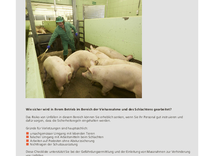 Lista di controllo CFSL Economia della carne: accettazione degli animali
