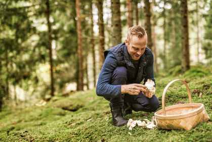 Anlagestrategie und Anlagerendite 