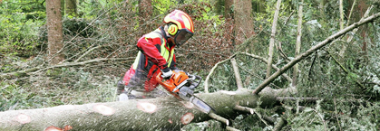 Zusammenfassung Holzstaub und Berufskrankheiten/ Berufsunfälle im Forst