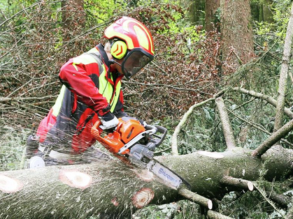 Poussière de bois et maladies et accidents professionnels dans la branche forestière