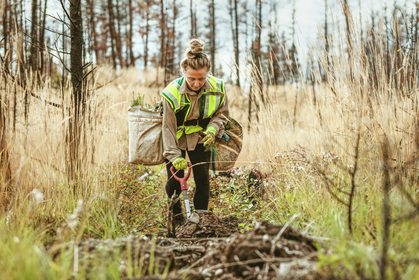 Versicherungstechnische Rückstellungen 