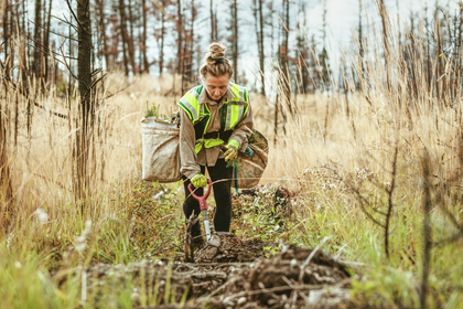 Versicherungstechnische Rückstellungen 