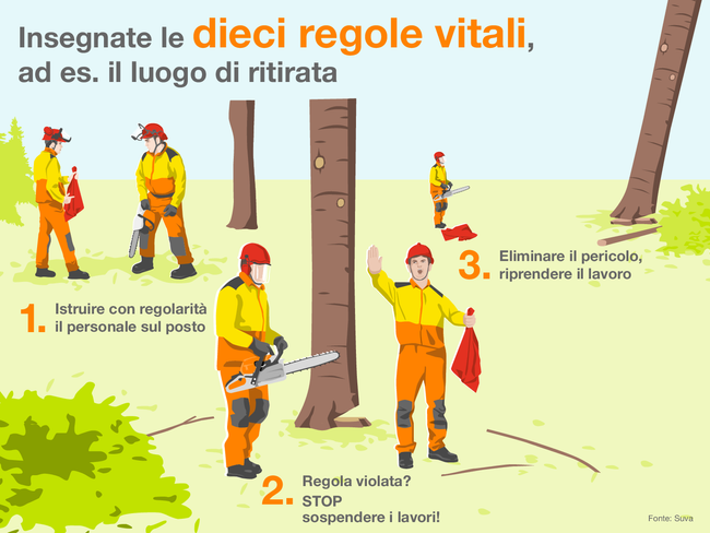 L'infografica ricorda le regole vitali della Suva. Mostra una scena nel bosco, dove il fazzoletto rosso ha il ruolo di segnalare il luogo di ritirata durante l'abbattimento di alberi. La scena dice: Insegnate le otto regole vitali, ad es. il luogo di ritirata, in tre fasi: 1. Istruire con regolarità il personale sul posto, 2. Regola violata? STOP, sospendere i lavori! 3. Eliminare il pericolo, riprendere il lavoro.