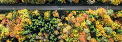 Zusammensetzung der Prämien 