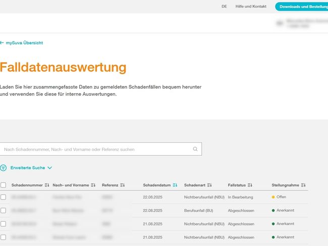 Screenshot Online Service Falldatenauswertung