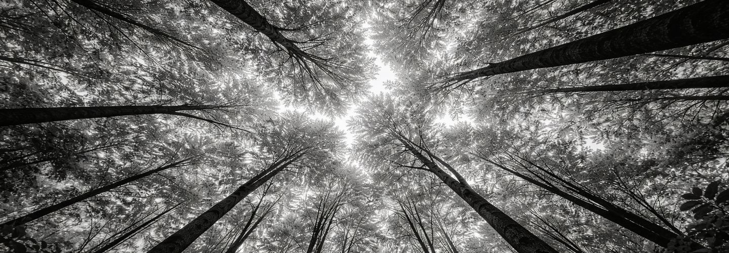 Trauerbild Crans-Montana.jpg