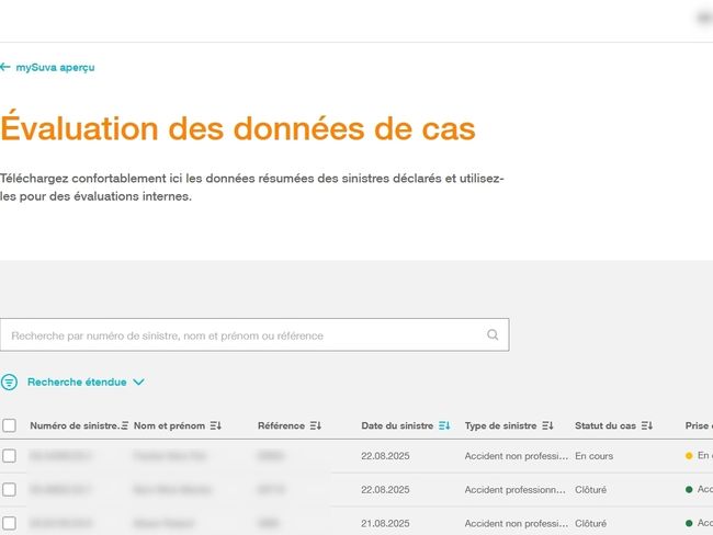 Screenshot Online Service Falldatenauswertung