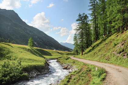 Solvenz- und Eigenmittelmanagement 