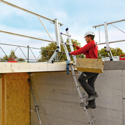 Holzbau Schweiz / Holzbau Vital (disponible uniquement en allemand et en italien)