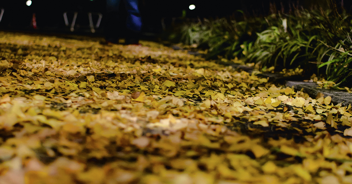 Sicherer Umgang mit Laserpointer Augenverletzung vermeiden