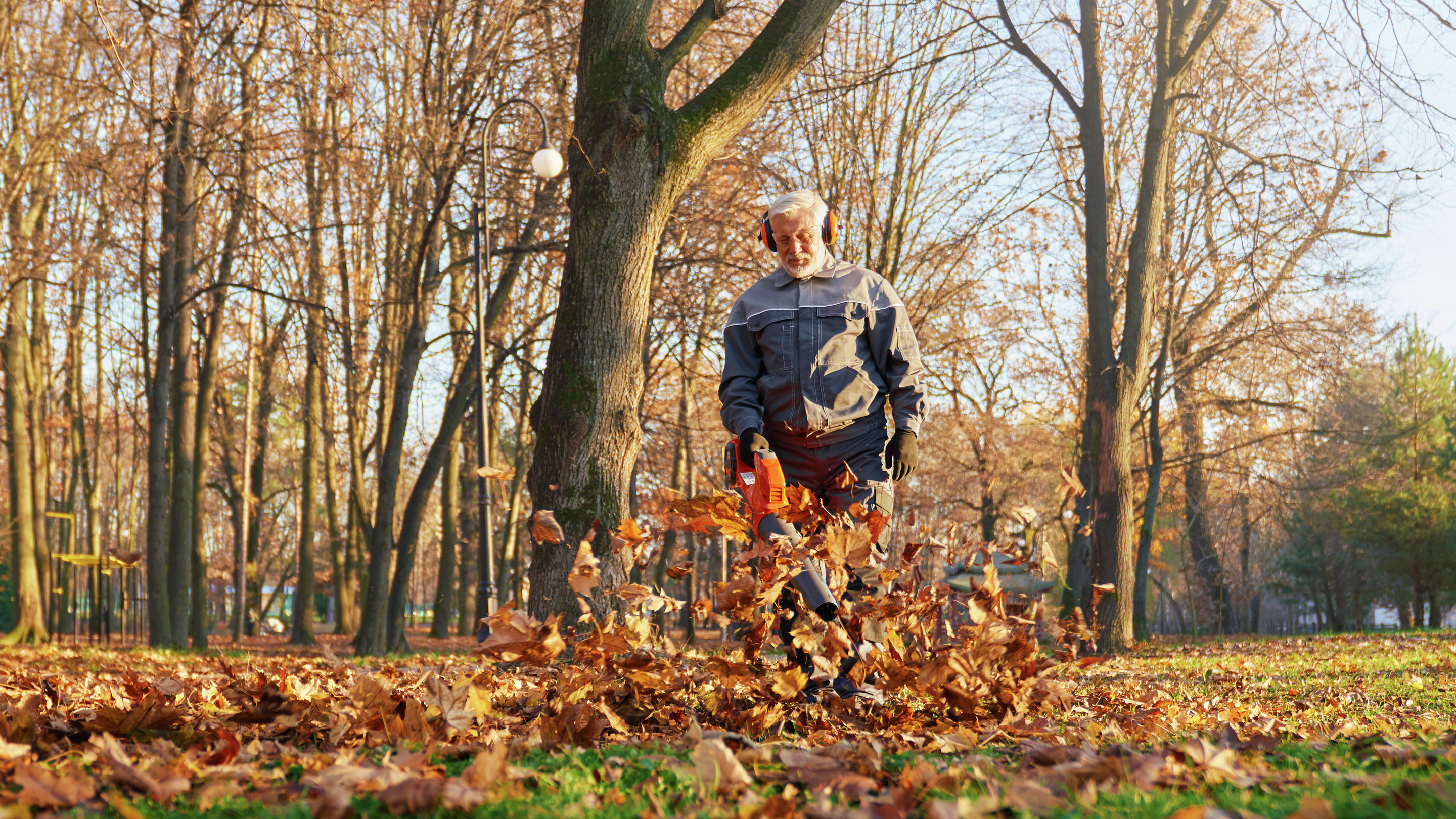 Soffiatori di foglie: quanto sono rumorosi realmente?