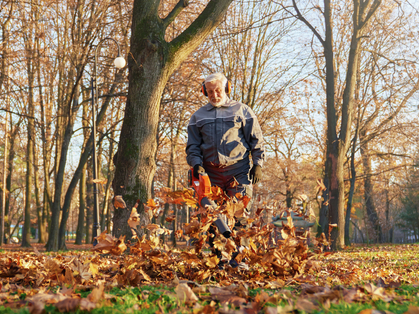 Soffiatori di foglie: quanto sono rumorosi realmente?