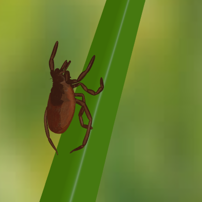 Morsure redoutable