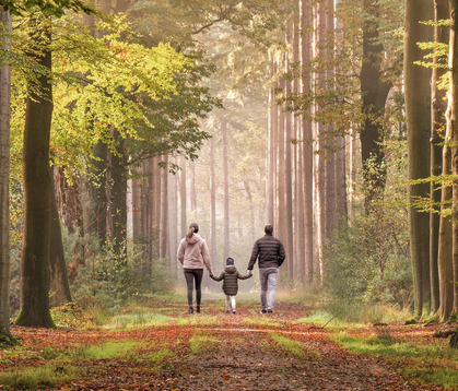 Nachhaltigkeit der Finanzanlagen 