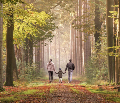 Nachhaltigkeit der Finanzanlagen 