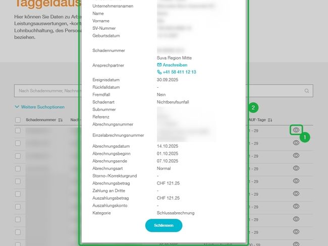 Screenshot zeigt den Online Service Taggeldauswertung
