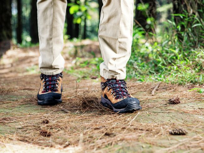 Ein männlicher Wanderer in robusten Wanderschuhen, der auf einem Waldweg durch einen dichten, grünen Wald geht.