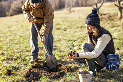  Klimastrategie der Anlagen 
