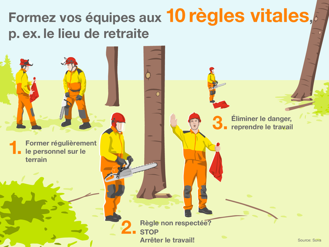 L’infographie rappelle les règles vitales de la Suva. Elle montre une scène en forêt impliquant l’utilisation du foulard rouge qui indique le lieu de retraite lors de l’abattage d’arbres. Elle affiche les informations suivantes: Formez vos équipes aux 8 règles vitales, p. ex. le lieu de retraite, en trois étapes: 1. Former régulièrement le personnel sur le terrain, 2. Règle non respectée? STOP, arrêter le travail! 3. Éliminer le danger, reprendre le travail.