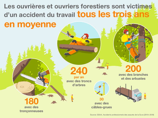 L’infographie sensibilise à la fréquence des accidents professionnels et aux différents types: En forêt, les accidents professionnels se produisent en moyenne tous les 3 ans. Chaque année, 240 accidents se produisent avec des troncs d’arbres, 200 avec des branches et des arbustes, 180 avec des tronçonneuses et 30 avec des câbles-grues. Source: SSAA, Accidents des assurés Suva (2010-2019)