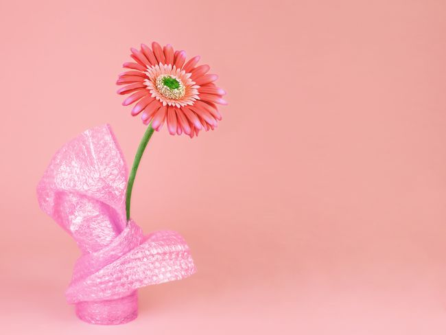 Blume in Vase