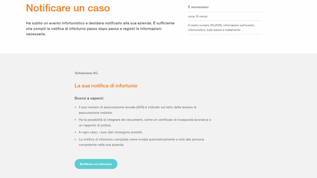 Screenshot zeigt Detailansicht des Online Service Schadenformular Mitarbeitende