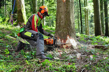 Équipements de protection individuelle pour forestiers-bûcherons