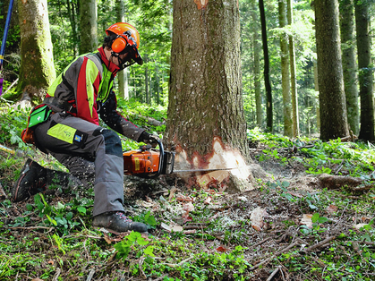 Équipements de protection individuelle pour forestiers-bûcherons